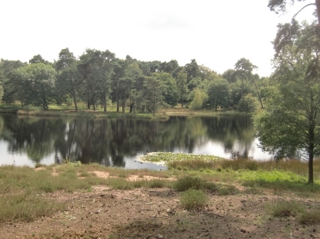 Wesel-Flüren : Kanonenberge, Blick von der Aussichtsdüne auf das Schwarze Wasser